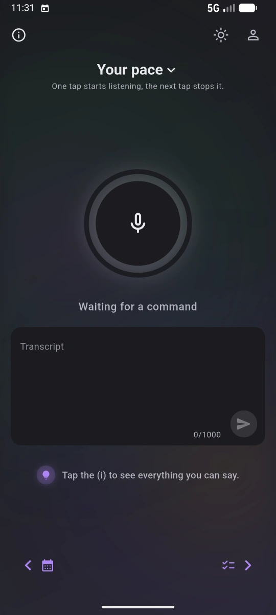 The microphone screen, waiting for a command
